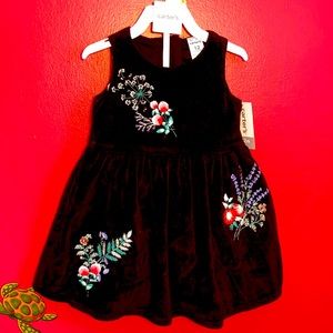 NWT Toddler Party Dress, Black with Pretty Flowers